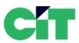 Capital Investments Trust